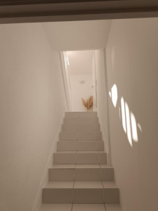 Photo de galerie - Rénovation