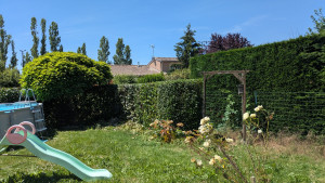 Photo de galerie - Taille de haie 