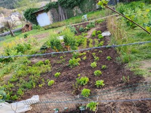 Photo de galerie - Nettoyage des jardins 