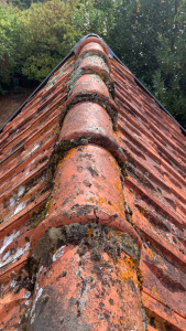 Photo de galerie - Couverture - Toiture