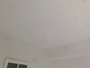 Photo de galerie - Réparation du plafond suite à un dégât des eaux :
peinture  du plafond terminée.