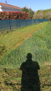 Photo de galerie - Herbes très hautes