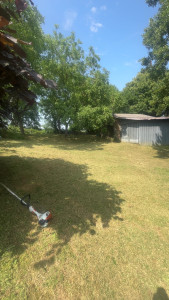 Photo de galerie - Débroussaillage 