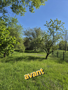 Photo de galerie - Tonte de pelouse - Débroussaillage