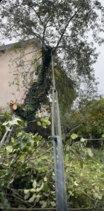 Photo de galerie - N