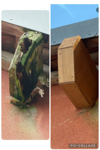 Photo de galerie - Remise en état poutre apparente