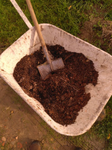 Photo de galerie - Paysagiste - Aménagement du jardin