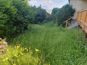 Photo de galerie - Tonte de pelouse - Débroussaillage