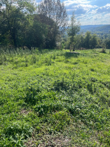 Photo de galerie - Débroussaillage herbes hautes 