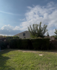 Photo de galerie - Taille de haies et d'arbustes