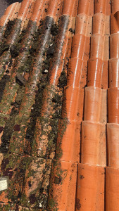 Photo de galerie - Couverture - Toiture