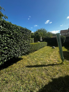 Photo de galerie - Remis en état d’un jardin (taille et tonte)