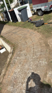 Photo de galerie - Tonte de pelouse - Débroussaillage