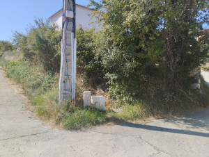 Photo de galerie - Tonte de pelouse - Débroussaillage