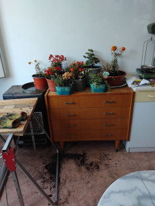 Photo de galerie - Jardinier