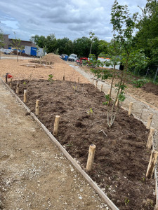 Photo de galerie - Aménagement plus plantation 