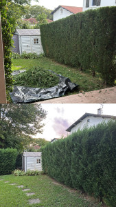 Photo de galerie - Tonte de pelouse - Débroussaillage