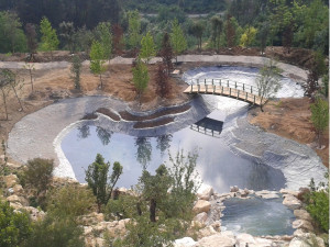 Photo de galerie - Bassin d'agrément  étanchéité epdm