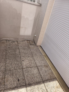 Photo de galerie - *Nettoyage et aménagement de jardin

*Tonte de pelouse

*Taille des arbres et des haies

*Nettoyage haute pression (Karcher)

*Intervention rapide