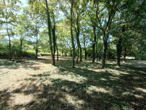 Photo de galerie - Débroussage de sous bois
Après 