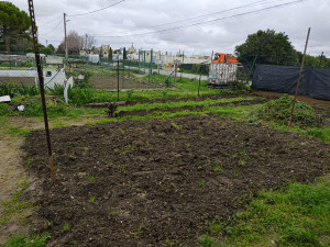 Photo de galerie - Entretien jardinage potager culture 