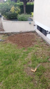Photo de galerie - Paysagiste - Aménagement du jardin