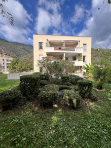 Photo de galerie - Taille de haies et d'arbustes