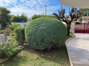 Photo de galerie - Espaces verts