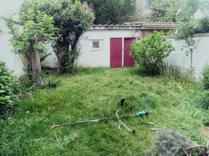 Photo de galerie - Tonte de pelouse - Débroussaillage