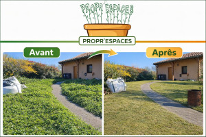 Photo de galerie - Tonte de pelouse - Débroussaillage