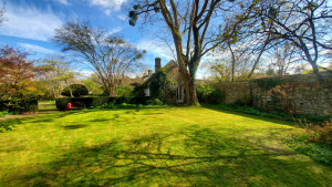 Photo de galerie - Tonte
