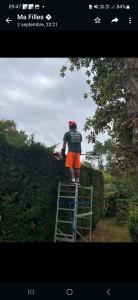 Photo de galerie - Taille haie stihl 