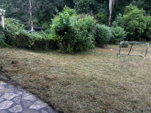 Photo de galerie - Tonte de pelouse - Débroussaillage