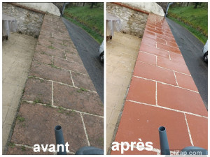 Photo de galerie - Avant/Après 
traitement fongicide produits professionnels. 
n'hésitez pas à me contacter. 
tarifs compétitifs et intervention rapide 