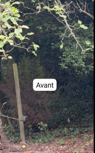 Photo de galerie - Remise en état du jardin plus pelouse
