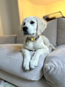 Photo de galerie - Henriiiii bébé