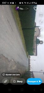 Photo de galerie - Taille haie de cyprès