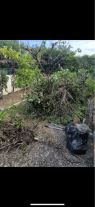 Photo de galerie - Déchets verts 