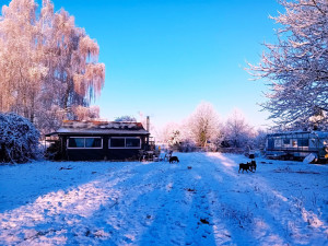 Photo de galerie - Hiver comme été ! 