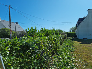 Photo de galerie - Taille de haie