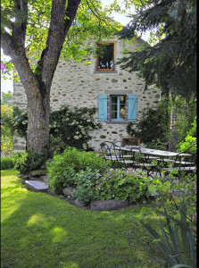 Photo de galerie - Tondre et nettoyage 