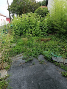 Photo de galerie - Remise en état d'un jardinet (avant)
