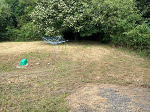 Photo de galerie - Tonte de pelouse - Débroussaillage