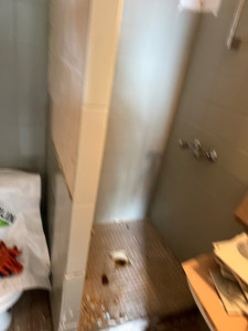 Photo de galerie - Avant le sanitaire 