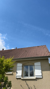 Photo de galerie - Démoussage 