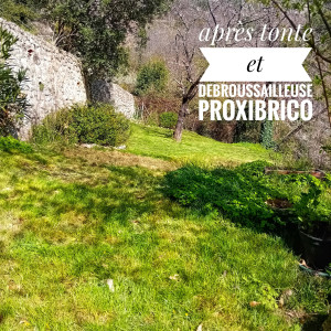 Photo de galerie - Après tonte et debroussailleuse PROXIBRICO 