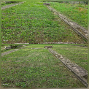 Photo de galerie - Tonte de pelouse 