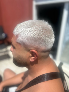 Photo de galerie - Blond polaire 