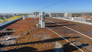 Photo de galerie - Nettoyage de toiture 