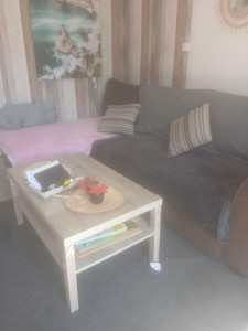 Photo de galerie - Nettoyage tapis table et sallon. 